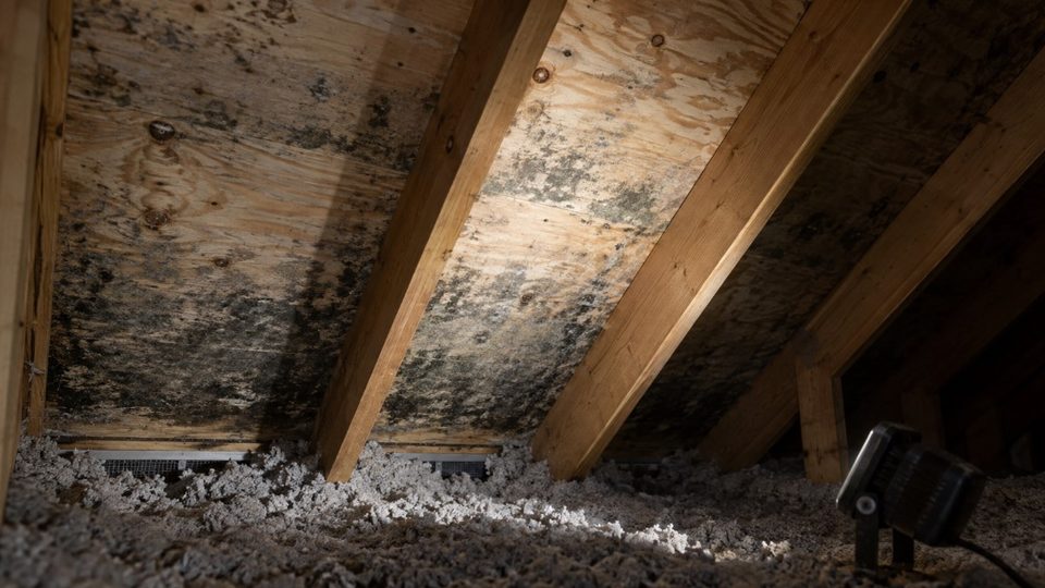Mold staining on attic roof sheathing in a Rock County home